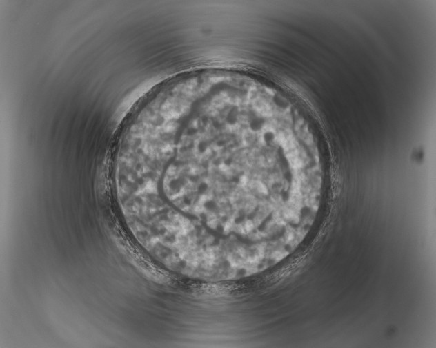 X0000114550875200911301222