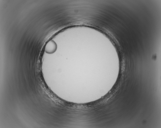 X0000114550876200911301222