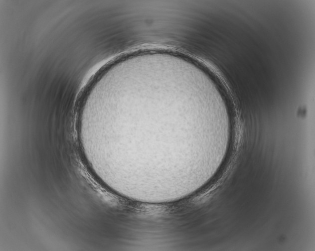 X0000114550878200911301222