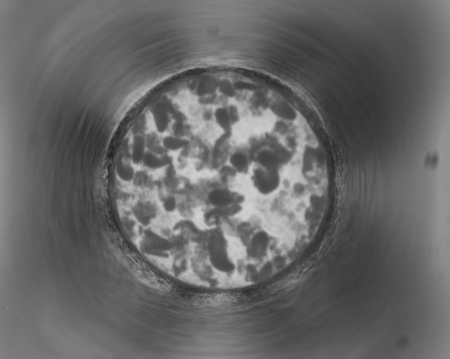 X0000114550879200911301222