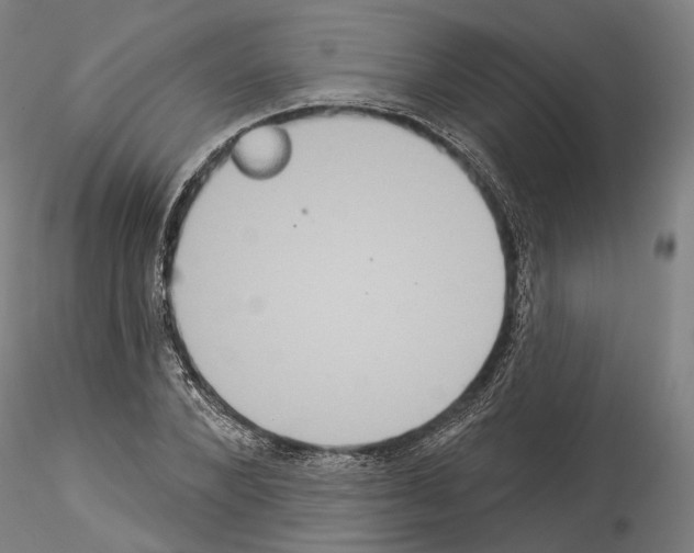 X0000114550880200911301222
