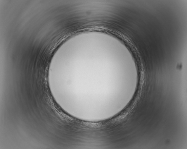 X0000114550881200911301222