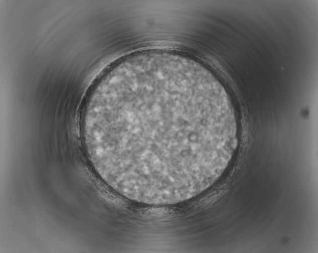 X0000114550883200911301222