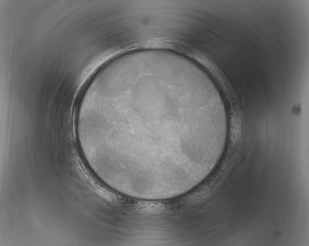 X0000114550886200911301222