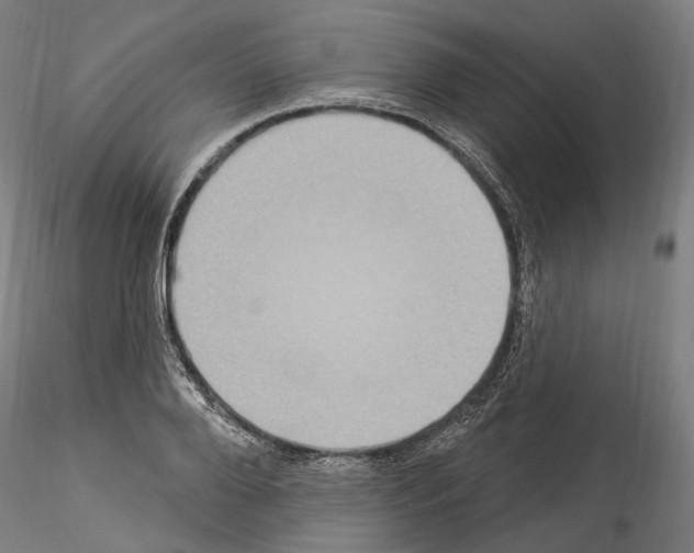 X0000114550888200911301222