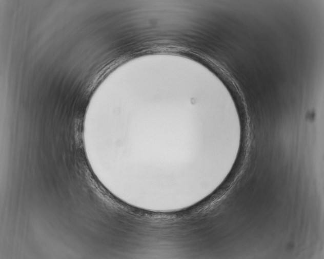 X0000114550889200911301222