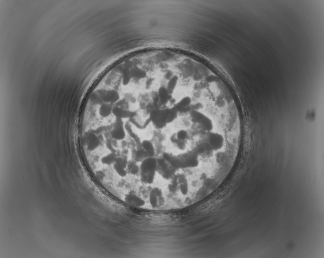 X0000114550895200911301222
