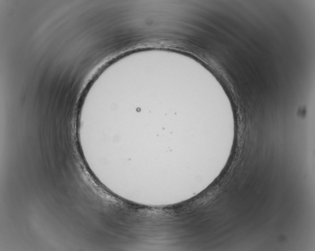 X0000114550896200911301222