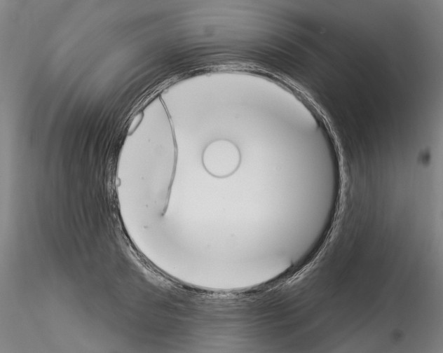 X0000114550897200911301222