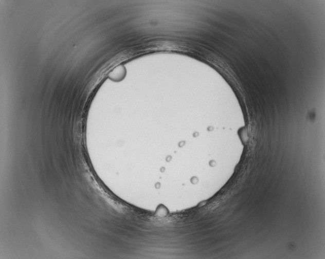 X0000114550898200911301222