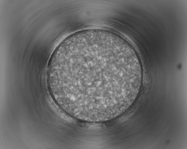 X0000114550899200911301222