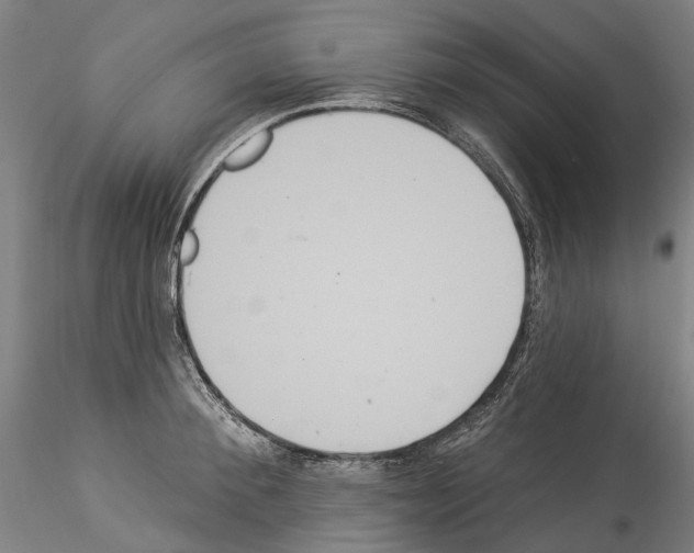 X0000114550900200911301222