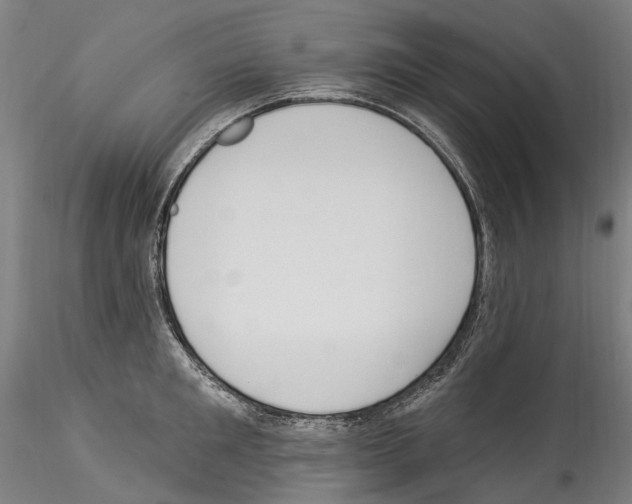 X0000114550901200911301222