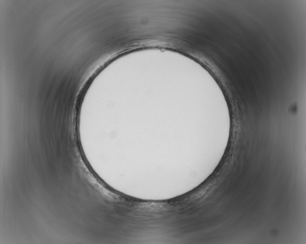 X0000114550902200911301222