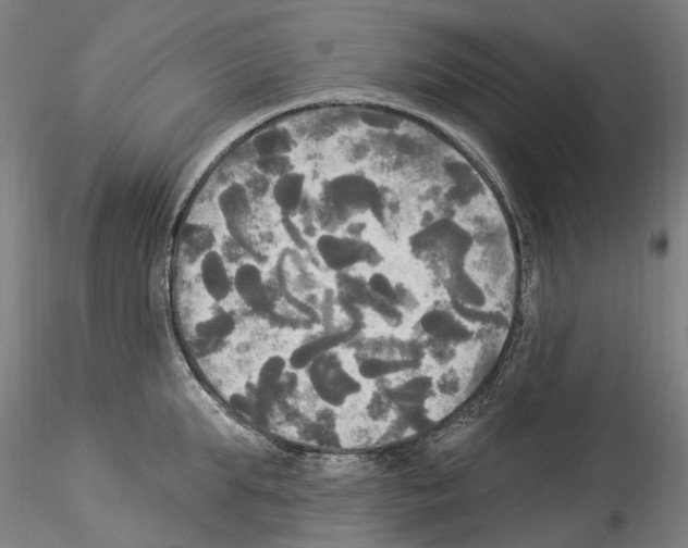 X0000114550903200911301222