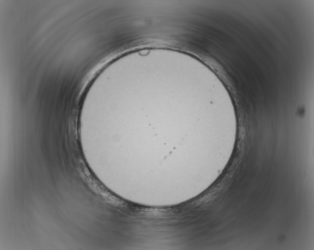 X0000114550904200911301222
