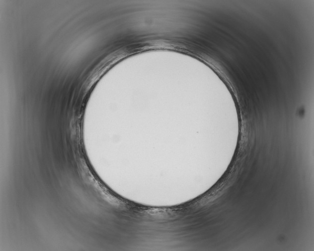 X0000114550906200911301222