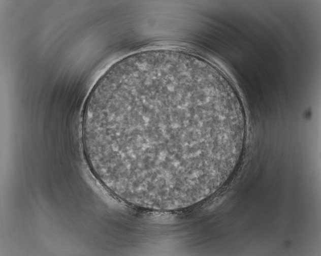 X0000114550907200911301222