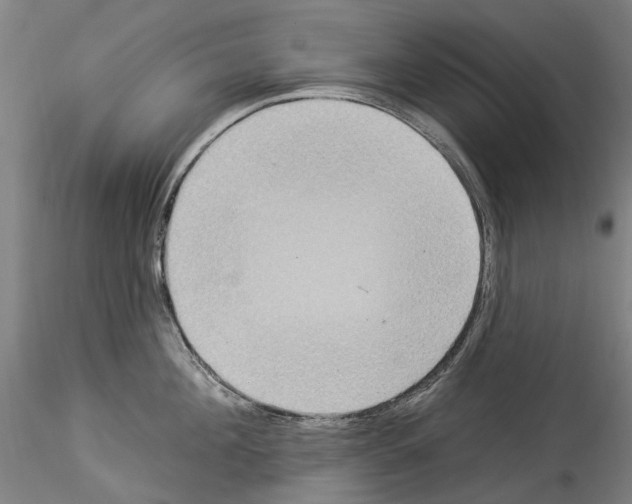 X0000114550908200911301222