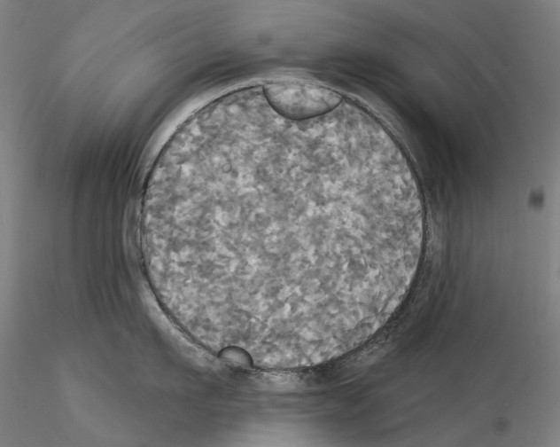 X0000114550911200911301222