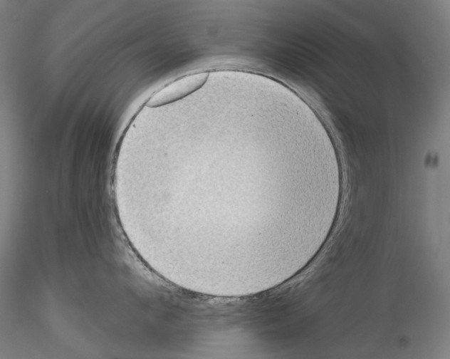 X0000114550912200911301222