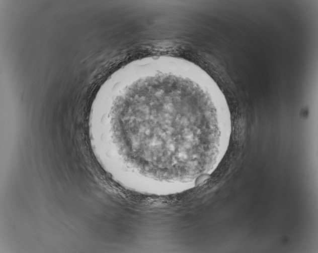X0000114550913200911301221