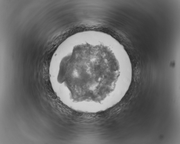 X0000114550917200911301221