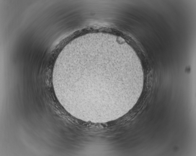 X0000114550919200911301221