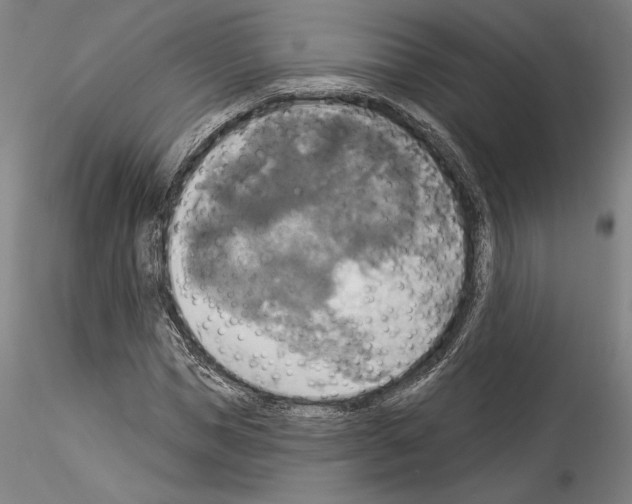 X0000114550921200911301221