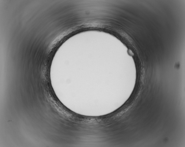X0000114550922200911301221