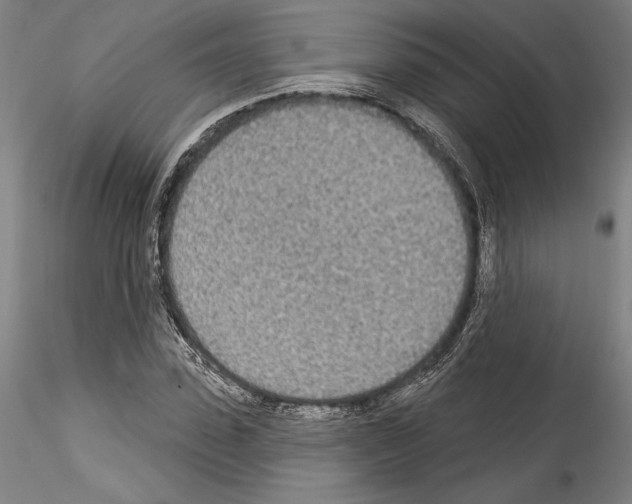 X0000114550923200911301221