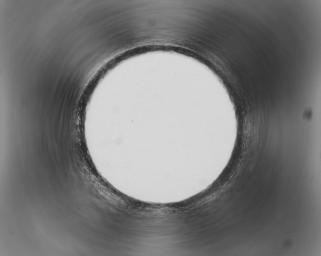 X0000114550926200911301221