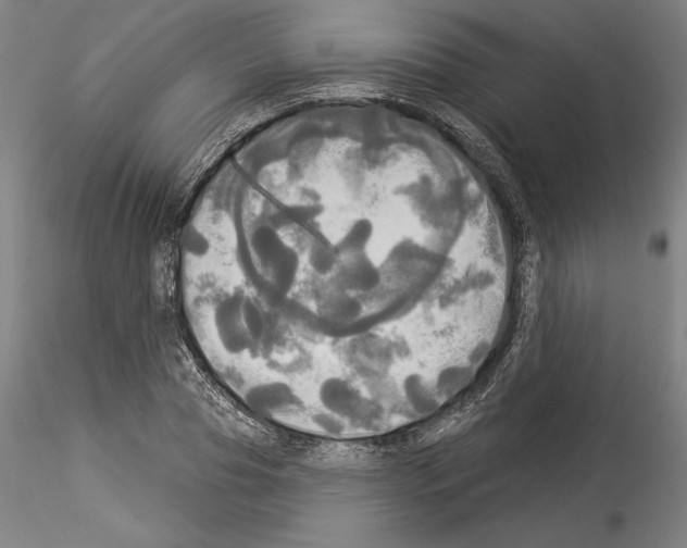 X0000114550929200911301221