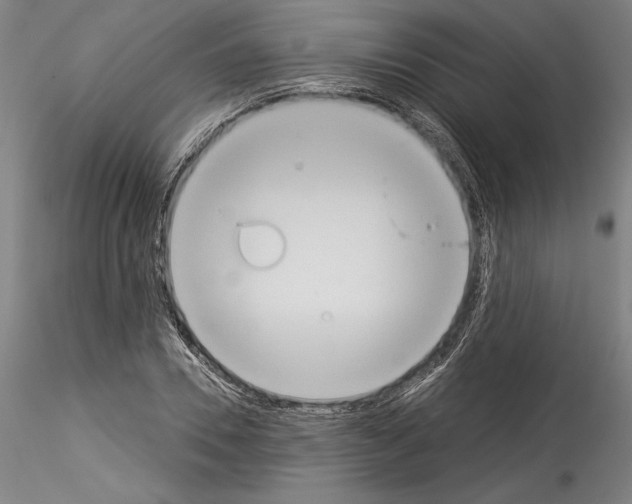 X0000114550930200911301221
