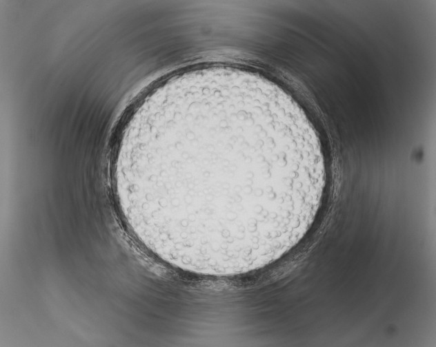 X0000114550931200911301221
