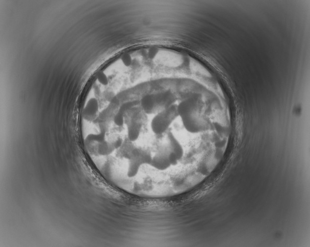 X0000114550933200911301221