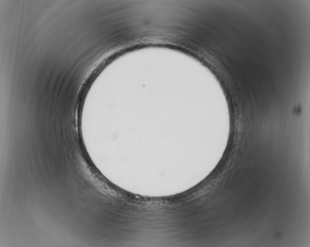 X0000114550934200911301221