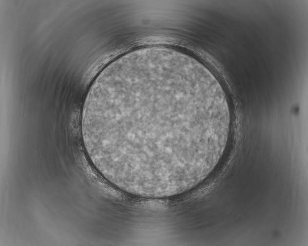 X0000114550937200911301221