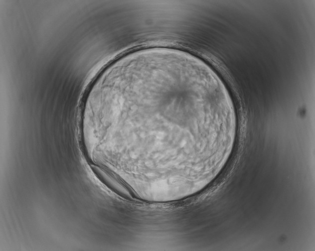 X0000114550941200911301221