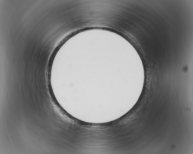 X0000114550942200911301221