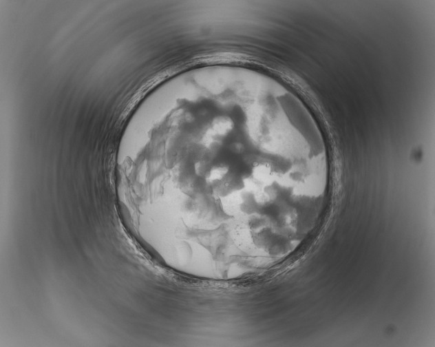X0000114550945200911301221