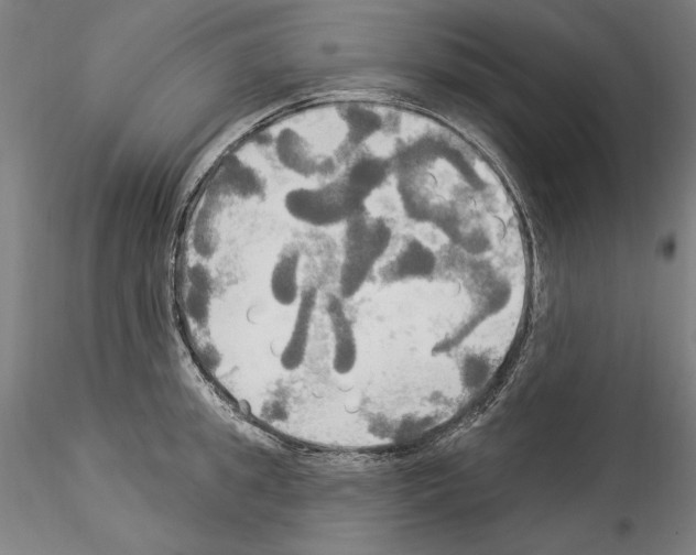 X0000114550949200911301221