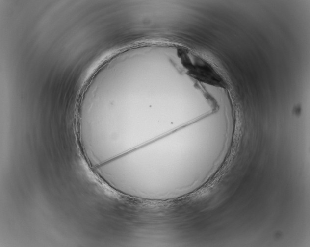 X0000114550950200911301221