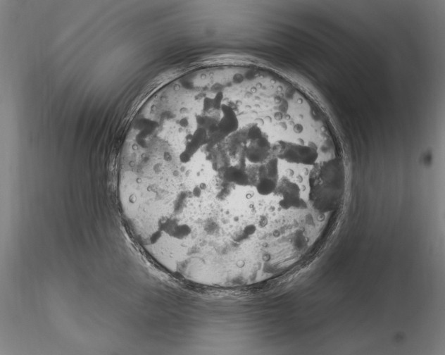 X0000114550953200911301221