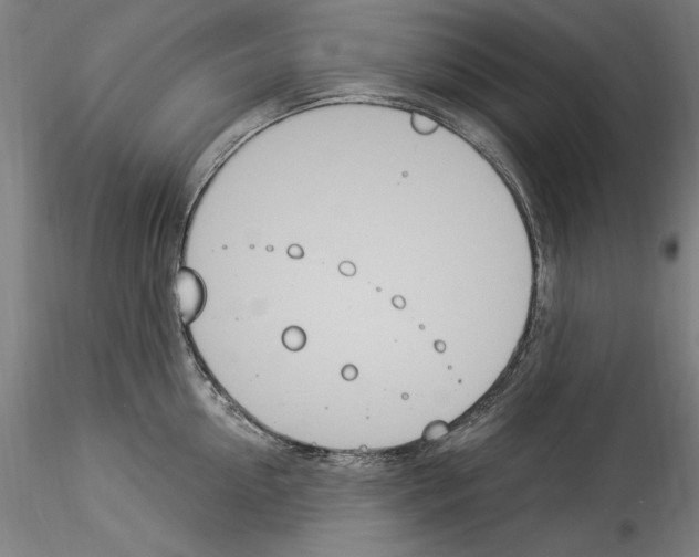 X0000114550954200911301221