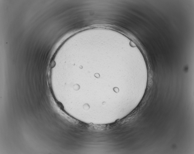 X0000114550955200911301221