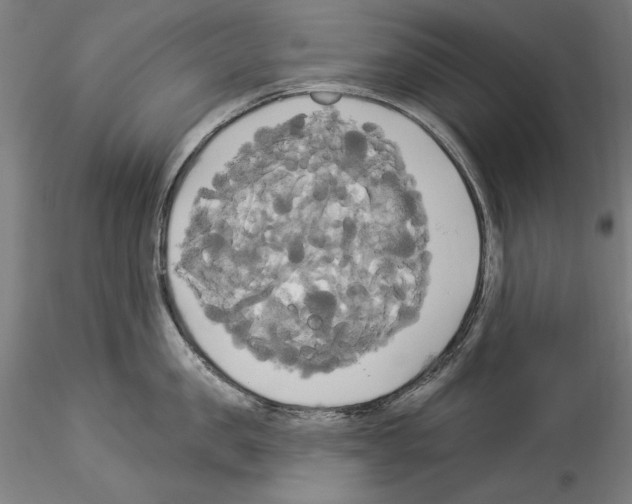 X0000114550957200911301222