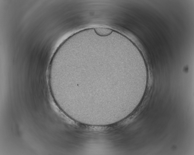 X0000114550958200911301222