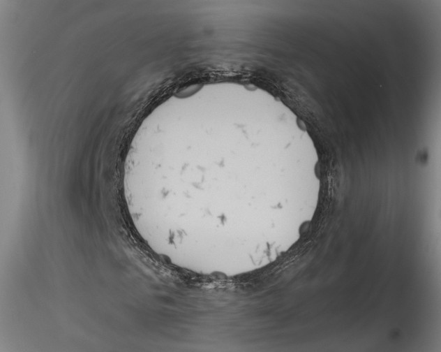 X0000114550961200911301221