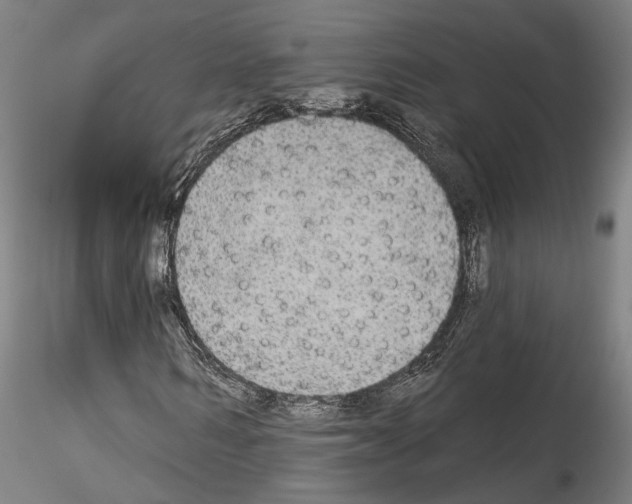 X0000114550962200911301221